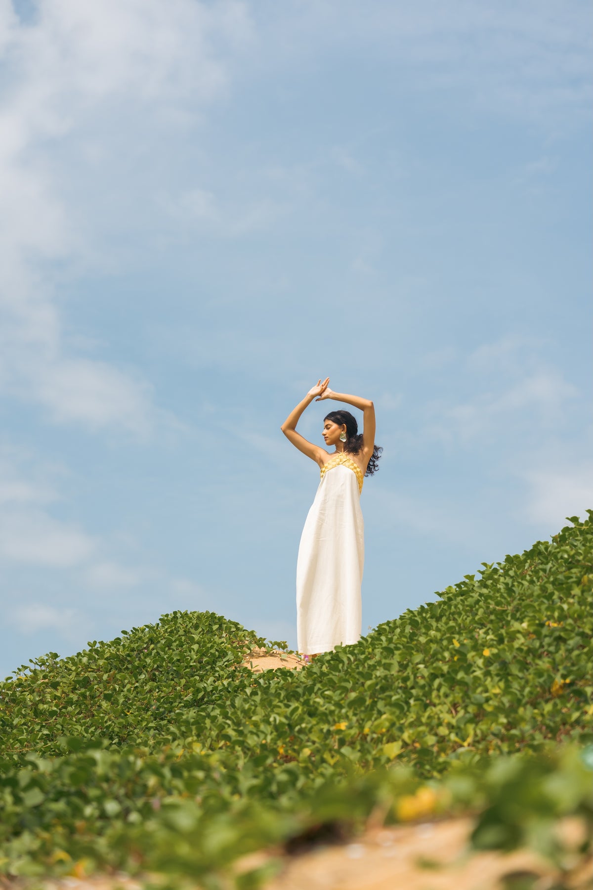 The Grega Dress